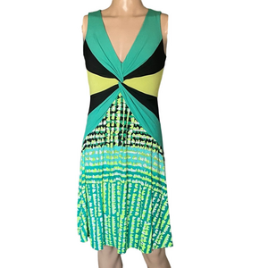BCBG maxaria fit and flare dress CRB